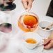 Заварювальна станція Hario Tea Dripper Largo (800мл) 3307 фото 7