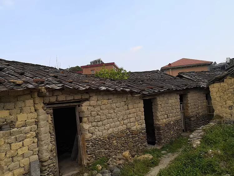 Даян Цзесі Гаошань &laquo;Ранковий туман&raquo; (10г) 1581 фото